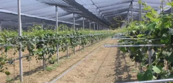 Стовпи попередньо-напружені залізобетонні Стовпи попередньо-напружені залізобетонні