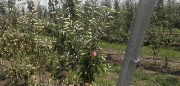 Армовані стовпи Армовані стовпи